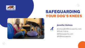Safeguarding-your-dogs-knee-health-updatec-pdf